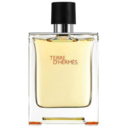 Terre D Hermes Eau De Toilette Spray 500ml características
