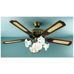 7066OB Ventilatore da Soffitto 5 Pale Diametro 130 cm Kit Luce Colore Ottone Brunito características