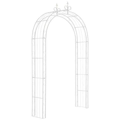 Arco Di Rose Sole