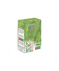 Puntuale 60 Compresse características