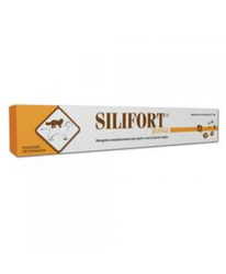 Silifort Pasta Os Siringa 30g en oferta