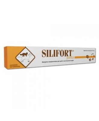 Silifort Pasta Os Siringa 30g