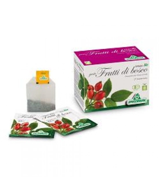 Infuso Bio Fruttabosco 20filt