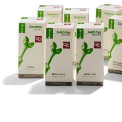 SALICE LINFA 100ML MG características