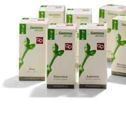 SALICE LINFA 100ML MG