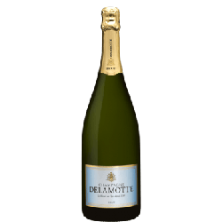 CHAMPAGNE DELAMOTTE  - MAGNUM precio