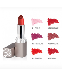 BioNike Defence Color Rossetto Colore Vibrante Lipmat-Stick 405 en oferta