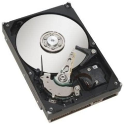 Hard Disk 1 TB 2,5'' Interfaccia SAS 7200 rpm precio