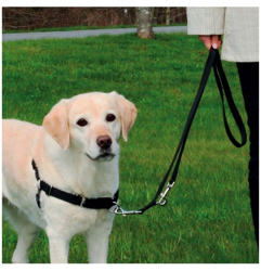 Pettorina Easy Walk Professional Trixie: Medium: 52-70 cm x 20 mm precio