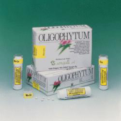 OLIGOPHYTUM MA-RAM 300 MICROCOMPRESSE precio
