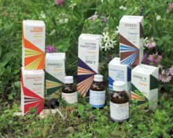 RAEMIL SALVIA MACERATO IDROALCOOLICO COMPOSTO 50 ML