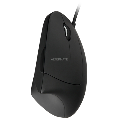VM1, Mouse