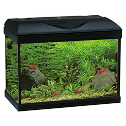 Acquario Riviera 40 Coldwater Nero 22 Litri 42x23.5x33h Wave Con Led 3° Generazione Amtra características