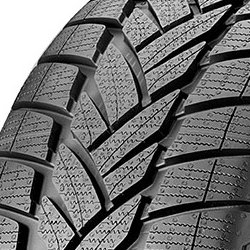 Dunlop Grandtrek WT M3 ( 275/55 R19 111H ) precio