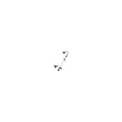 Decespugliatore Ds52 Zaino Excel 07595 características