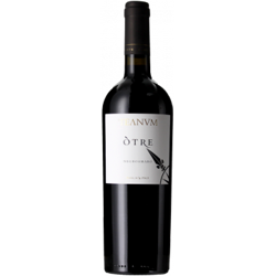 OTRE NEGROAMARO 2017 - CANTINE TEANUM en oferta