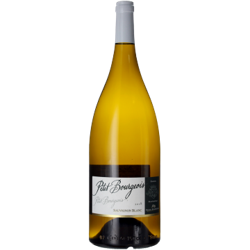 MAGNUM LE PETIT BOURGEOIS 2019 -  DOMAINE HENRI BOURGEOIS en oferta