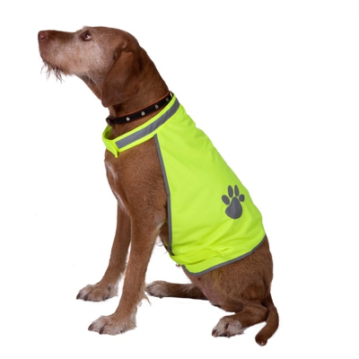 Safety-Dog gilet di sicurezza per cani - Taglia M: 32 cm dorso
