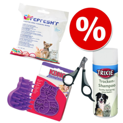 Welcome Kit Kitten beauty - 4 pz precio