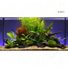 Set piante per acquario Zooplants "Assortimento Misto" - 13 piante precio