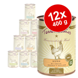 Terra Canis 12 x 400 g - Tacchino con Broccoli, Pera e Patate en oferta