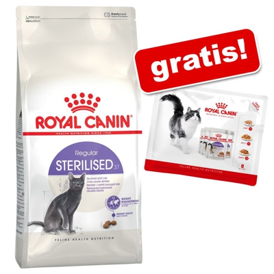 Royal Canin + 4 x 85 g umido in buste gratis! - 4 kg Sensible 33 + umido Instinctive