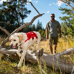 Pettorina Ruffwear Web Master Harness rossa - L-XL características