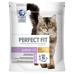 Perfect Fit Junior precio