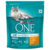 Purina ONE Adult Pollo & Cereali integrali - Set %: 2 x 6 kg