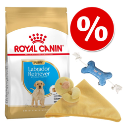 Welcome Kit Puppy & Junior Royal Canin Breed Puppy + Copertina + Osso gioco - Cavalier King Charles Puppy 1,5 kg en oferta