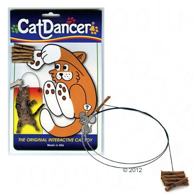 Cannetta Cat Dancer - 3 pz - prezzo top!