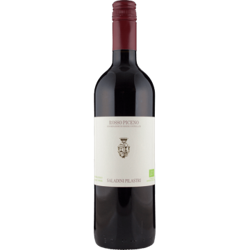 ROSSO PICENO 2019 - SALADINI PILASTRI precio